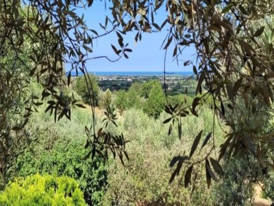 Holiday house Holiday Home in Castagneto near the Beach - Environment photo 23