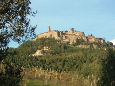 Farmhouse Urban farmhouse in Umbria with pool - Environment photo 29