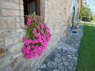 Holiday house Cottage in Todi with Pool and Terrace - Outdoor photo 32