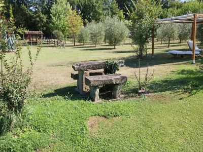 Holiday house Hütte in Todi mit Pool und Sauna - Outdoor photo 10