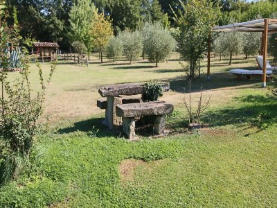 Apartment Apartment in Todi with Pool and Garden - Outdoor photo 30