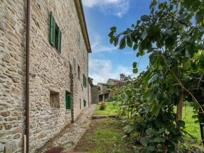 Farmhouse Belvilla by OYO Casa Olivo - Outdoor photo 13