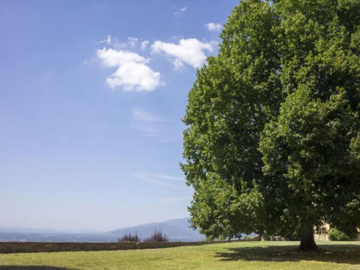 Holiday house Ferienhaus in Pergine Valdarno mit Pool - Outdoor photo 5