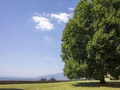 Holiday house Ferienhaus in Pergine Valdarno mit Pool - Outdoor photo 5