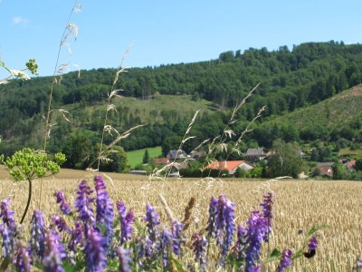Holiday apartment Fasse - Environment photo 34