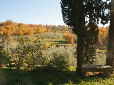 Holiday house Blissful Tuscan Hideaway - Environment photo 37
