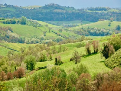 Villa Villa in Magliano Sabina with Private Pool - Environment photo 29