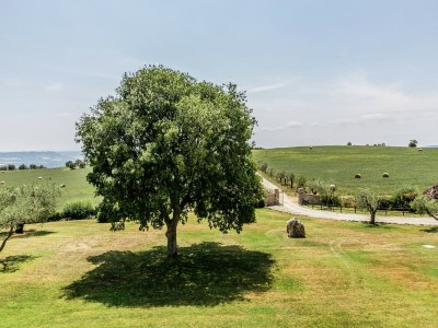 Farmhouse Bauernhaus in Montoro nahe Schloss - Outdoor photo 21