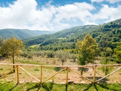 Farmhouse Rustikales Serenity-Bauernhaus - Outdoor photo 9