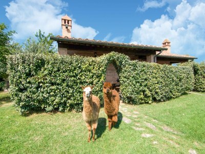 Farmhouse Belvilla by OYO Large Farmhouse with Pool - Outdoor photo 18