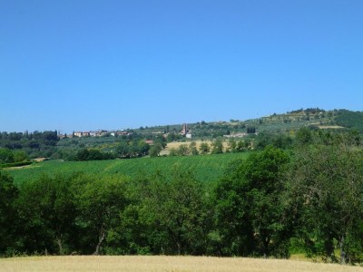 Holiday house Ferienhaus in Pietrafitta am Trasimenischen See - Environment photo 34