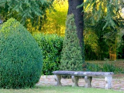Castle Ein Schlossaufenthalt im Weinland - Outdoor photo 10