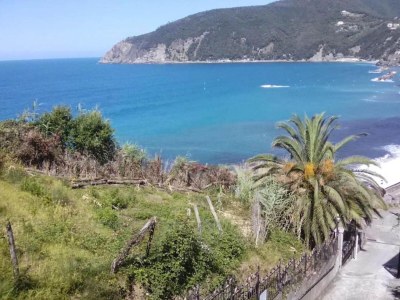 Holiday house Escape Near Cinque Terre - Environment photo 35
