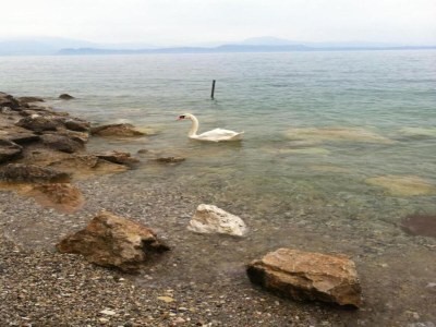Apartment Lakeside Stay in Sirmione - Environment photo 31