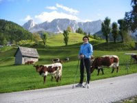Agatha Sauerschnig