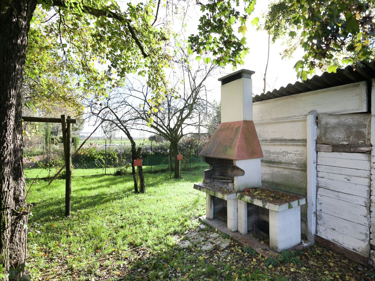 Farmhouse Pet-Friendly Nature Escape - Outdoor photo 3