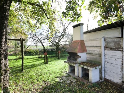 Farmhouse Pet-Friendly Nature Escape - Outdoor photo 3
