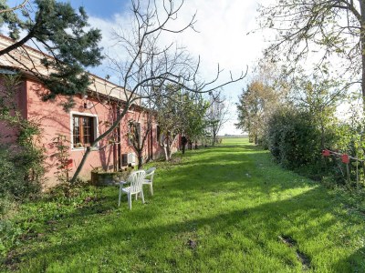 Farmhouse Pet-Friendly Nature Escape - Outdoor photo 23