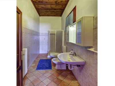 Farmhouse Pet-Friendly Nature Escape - Features photo 30
