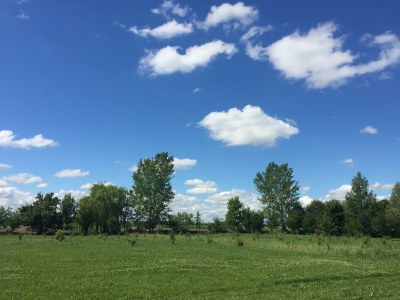 Farmhouse Pet-Friendly Nature Escape - Environment photo 35