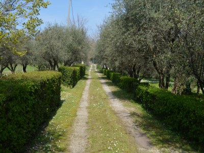 Holiday house Italian Holiday home - Outdoor photo 2