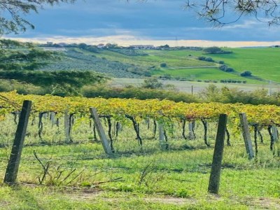 Apartment Apartment in Coriano near Vineyards & Beaches - Environment photo 27