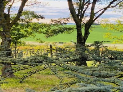 Apartment Apartment in Coriano near Vineyards & Beaches - Environment photo 28