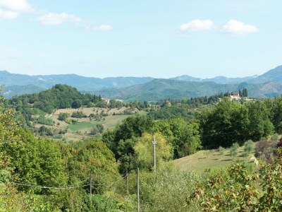 Holiday house Holiday Home in Vicchio with Private Pool - Environment photo 31