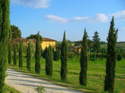 Farmhouse Farmhouse in Vinci near Leonardo Museum - Outdoor photo 10