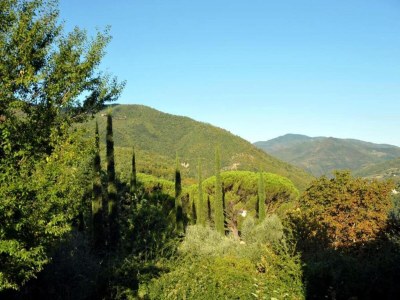 Holiday house Agriturismo Poggio di Montepescoli - Il Ciliegio - Environment photo 27