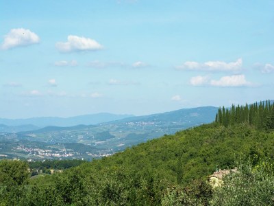 Holiday house Charming Tuscan Stay with Pool - Environment photo 27
