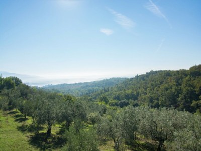 Holiday house Charming Tuscan Stay with Pool - Environment photo 28