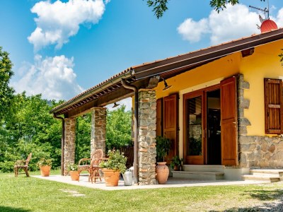 Holiday house Ferienhaus in der Toskana mit Pool & Olivenhain - Outdoor photo 8