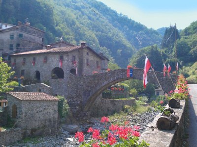 Holiday house Ruhiges Ferienhaus, San Quirico - Environment photo 31