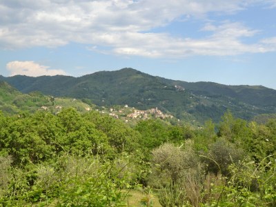Holiday house Cottage in Pescia with Pool and Garden - Outdoor photo 8