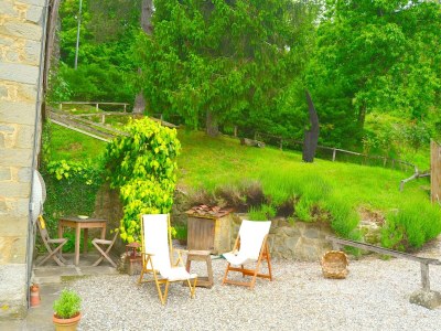Holiday house Cottage in Pescia with Pool and Garden - Outdoor photo 12