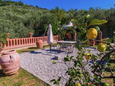 Farmhouse Bauernhaus in der Toskana mit Pool & Sauna - Outdoor photo 8