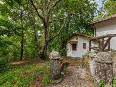 Holiday house Vintage-Ferienhaus - Outdoor photo 6