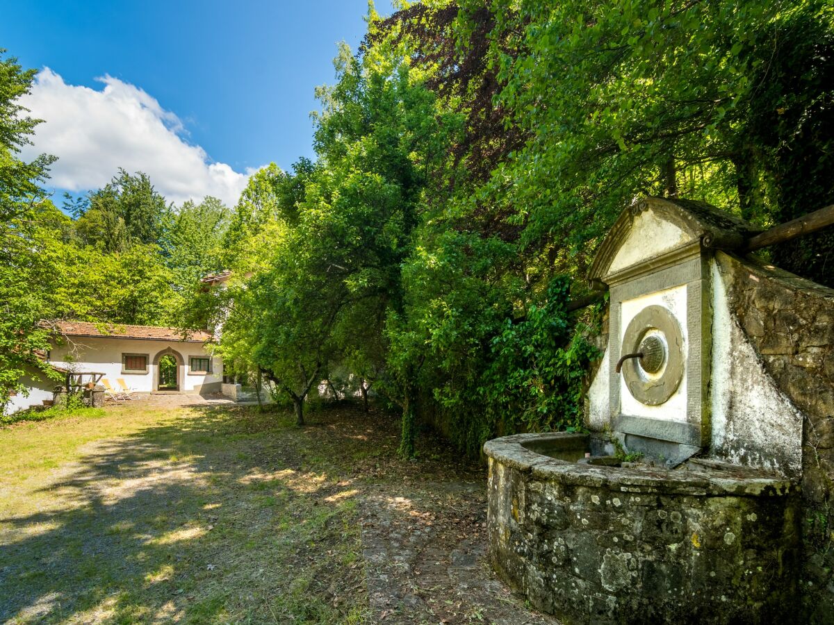Holiday house Ferienhaus in Migliorini mit Pool & Natur - Outdoor photo 5