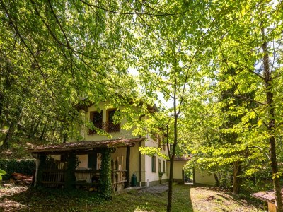 Holiday house Ferienhaus in Migliorini mit Pool & Natur - Outdoor photo 10