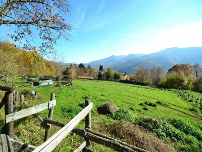 Chalet Tranquil Stone Chalet - Outdoor photo 7