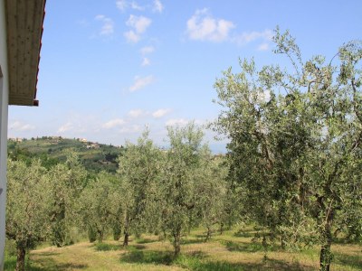Farmhouse Toskanisches Paradies; Vinci und Pistoia - Outdoor photo 17
