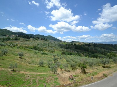 Farmhouse Toskanisches Paradies; Vinci und Pistoia - Environment photo 35