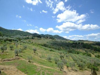 Farmhouse Toskanisches Paradies; Vinci und Pistoia - Environment photo 36