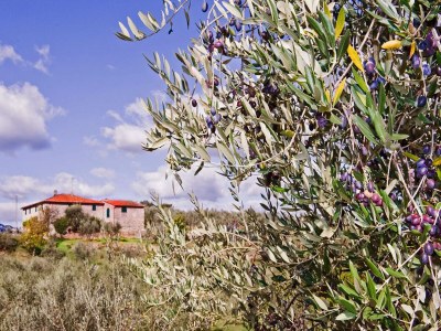 Farmhouse Toskanisches Paradies; Vinci und Pistoia - Outdoor photo 40