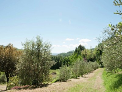 Villa Villa in Casentino mit Pool und Schlossblick - Outdoor photo 12