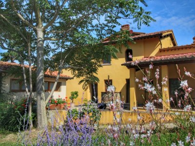Apartment Ferienhaus in Chianti mit Pool und Aussicht - Outdoor photo 3