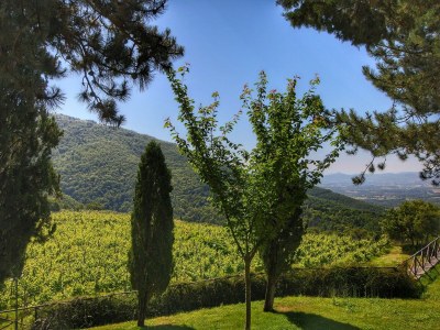 Holiday house Cottage in Loro Ciuffenna - Environment photo 32