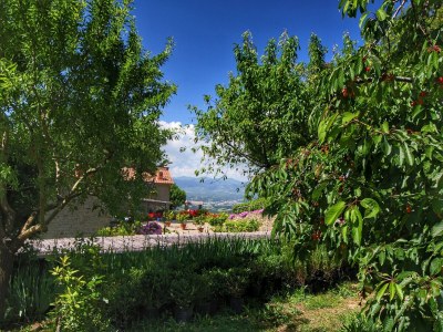 Farmhouse Bauernhaus in Loro Ciuffenna - Outdoor photo 5