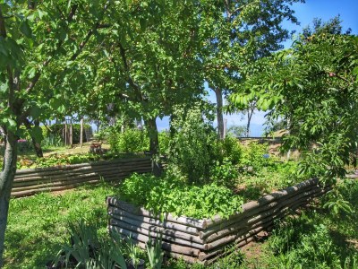 Farmhouse Farmhouse in Loro Ciuffenna with Pool & Garden - Outdoor photo 38